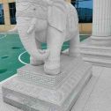 青海 白麻花岗岩动物异形石雕-大象
